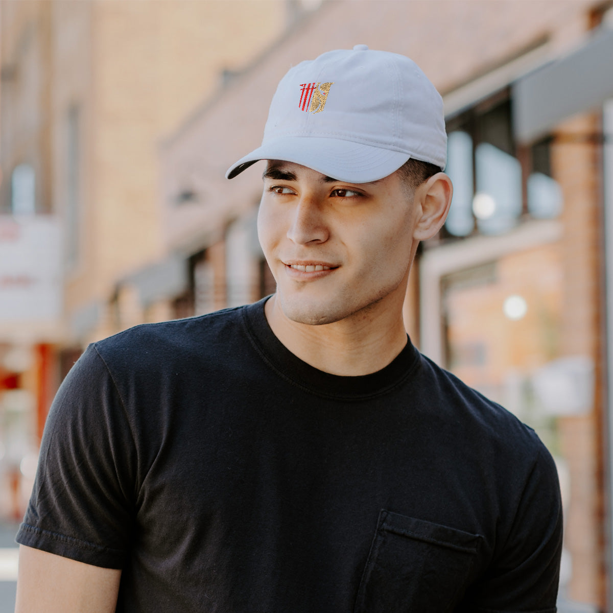 Theta Chi Classic Symbol Ball Cap