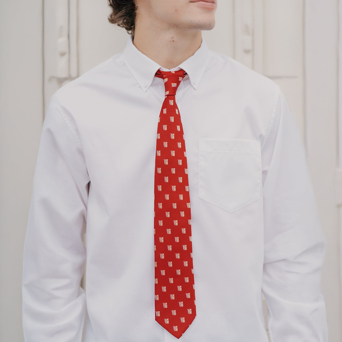 Theta Chi Shield Silk Tie