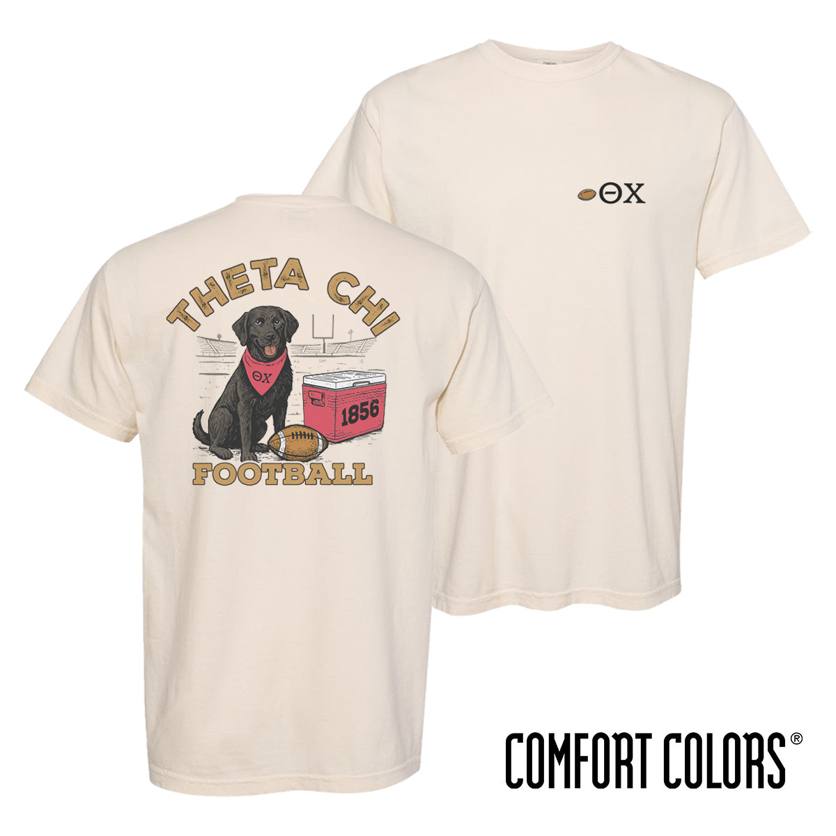 Theta Chi fraternity t-shirt featuring a black lab in a football stadium